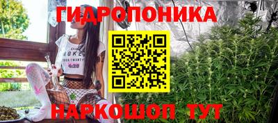 индика Гусиноозёрск