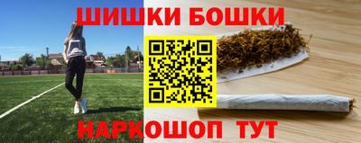 индика Гусиноозёрск