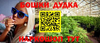 индика Гусиноозёрск