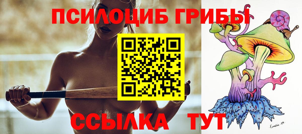 Псилоцибиновые грибы Psilocybe  Вход с VPN  Заинск 