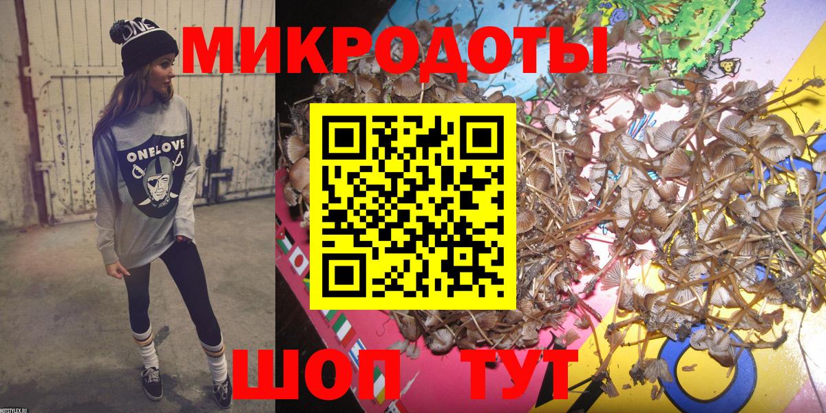 Галлюциногенные грибы Psilocybine cubensis Заинск